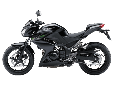 2013-z250-col-ls